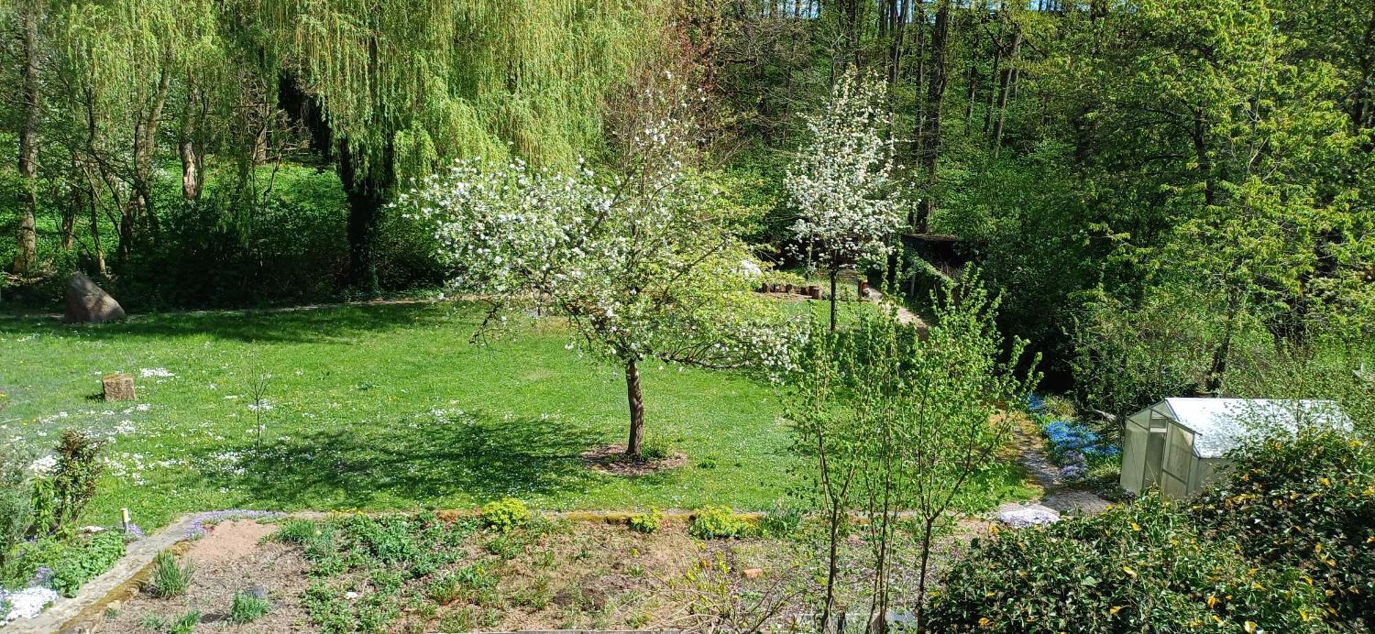 Wohnung In Medlitz Rattelsdorf Dış mekan fotoğraf